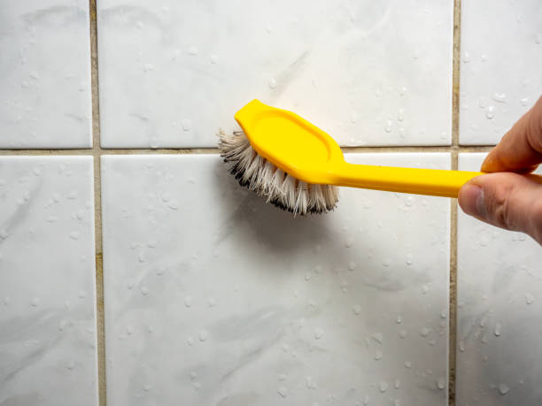 Best Mold Remediation for Schools in Heartland, TX