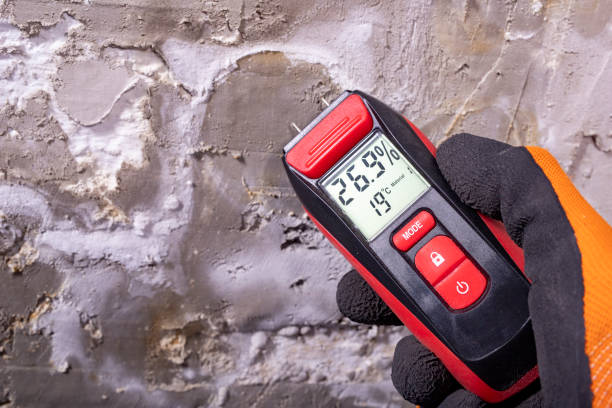 Best Bathroom Mold Remediation in Heartland, TX