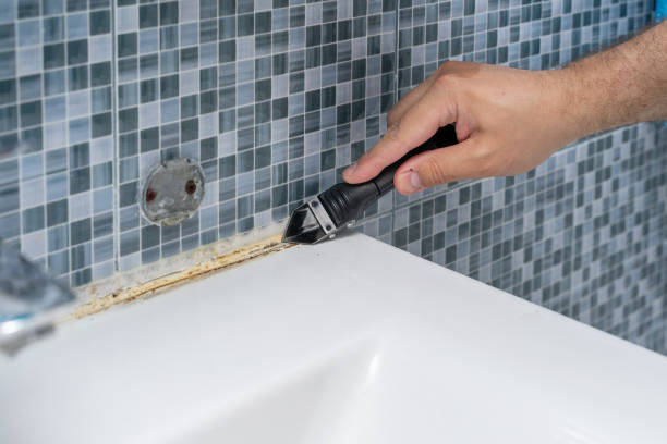 Best Health and Safety Mold Remediation in Heartland, TX
