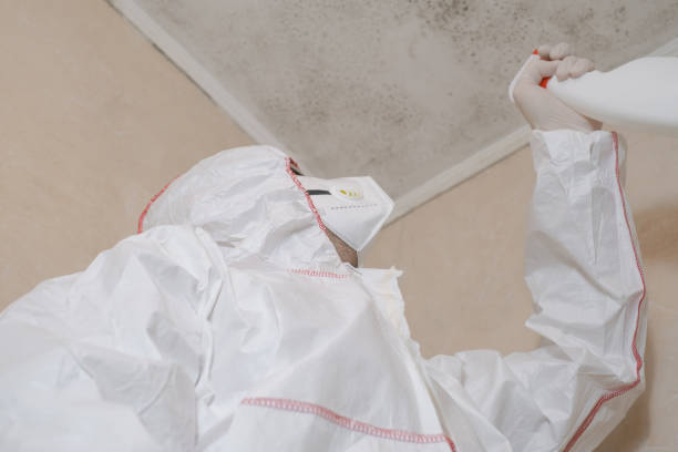 Best Residential Mold Remediation in Heartland, TX
